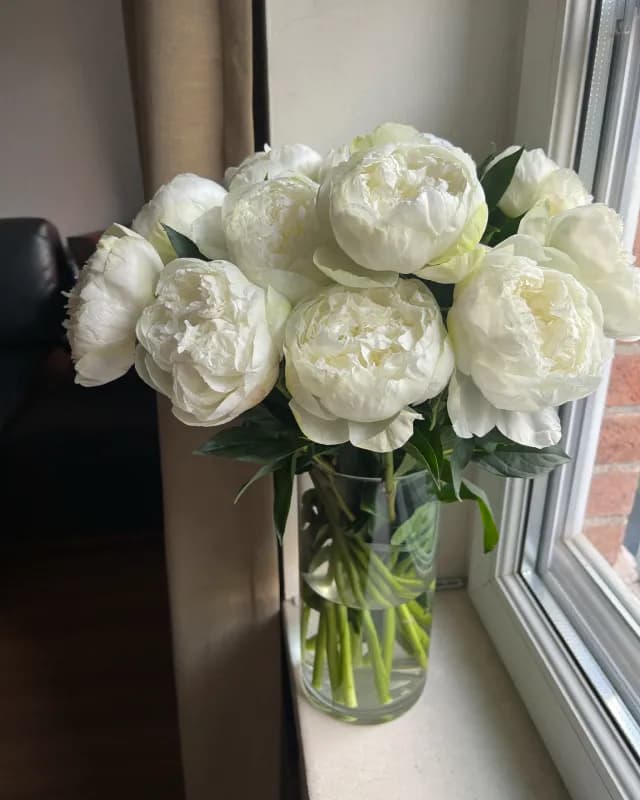 Букет PEONY №3